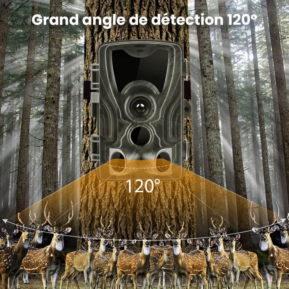 Caméra de Chasse Nocturne HD avec Écran et Batterie