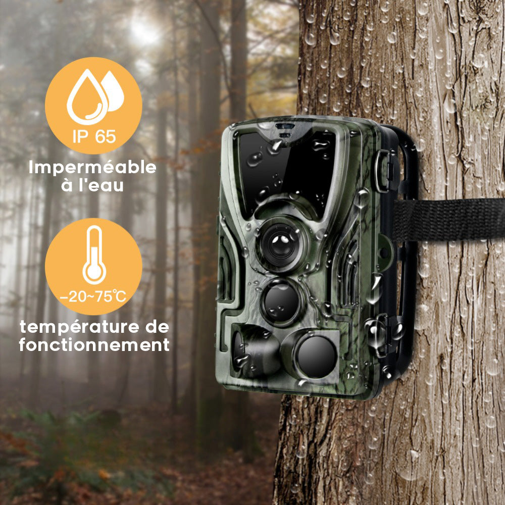 Caméra de Chasse Nocturne HD avec Écran et Batterie
