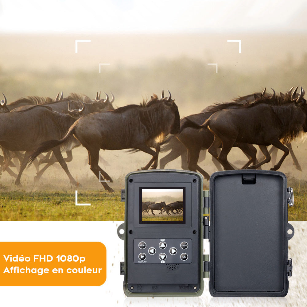 Caméra de Chasse Nocturne HD avec Écran et Batterie