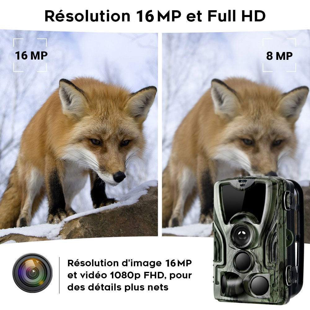 Caméra de Chasse Nocturne HD avec Écran et Batterie