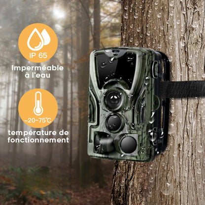 Caméra de Chasse Nocturne HD avec Écran et Batterie